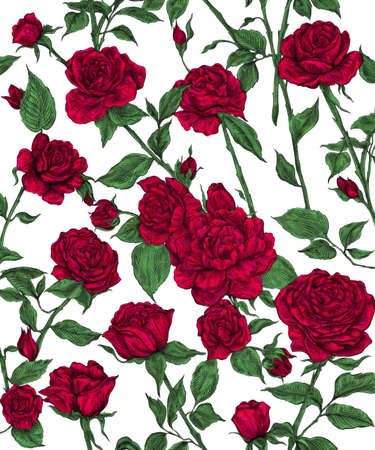 Seamless floral pint. Red roses on a white background. Print for printing on fabric, wallpaper, tiles.の写真素材