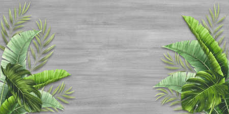 Tropical leaves on gray concrete wall background. Material for advertising and creativity. Banner with copy space.の写真素材