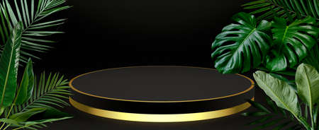 Cylindrical showcase, luxury and modern concepts, black and gold colors. 3D rendering. Tropical leaves advertise the product. Texture background for creativity and advertisingの写真素材