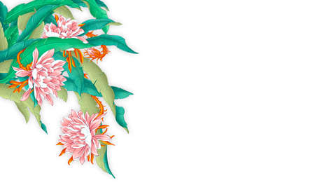 Tropical leaves on white background. Material for advertising and creativity. Palm Leaves. Banner With Copy Spaceの写真素材