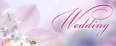 Blush pink floral wedding background. Banner with copy space and selective focus. Spring wedding invitation.の写真素材