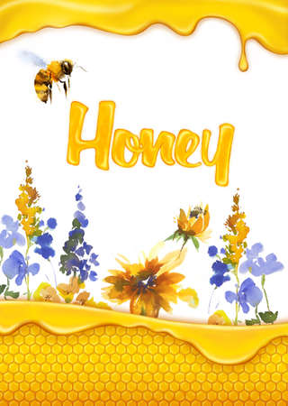 Watercolor drawing of yellow wildflowers with honeycombs and a bee. Inscription Honey. Textured background for advertising and creativity.の写真素材