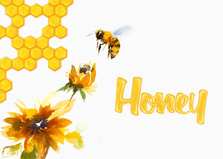 Watercolor drawing of yellow wildflowers with honeycombs and a bee. Inscription Honey. Textured background for advertising and creativity.の写真素材