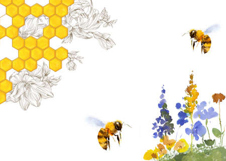 Watercolor flowers and bees. Wildflower honey ads. Honey hand drawn illustration. Honey combs with honey, retro flowers garden with bees.の写真素材