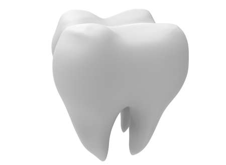3d illustration of tooth.の写真素材