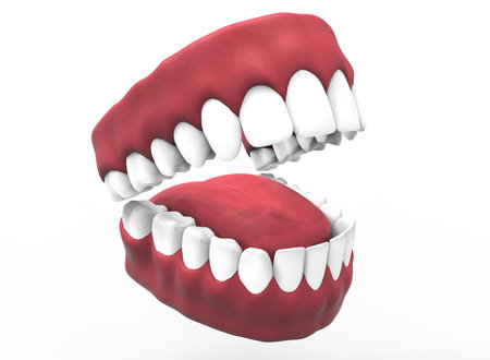 3d illustration of opened gum with teeth and tongue.
