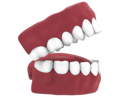 3d illustration of opened gum with teeth and tongue.の写真素材