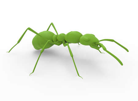3d illustration of green ant. white background isolated. icon for game web.の写真素材