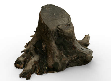 3d illustration of Stump. white background isolated. icon for game web.の写真素材