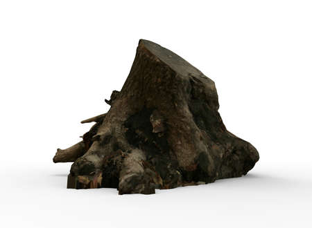 3d illustration of Stump. white background isolated. icon for game web.の写真素材