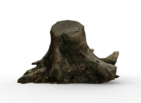 3d illustration of Stump. white background isolated. icon for game web.の写真素材