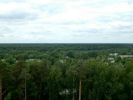 Landscape with forest and nature horizonの写真素材