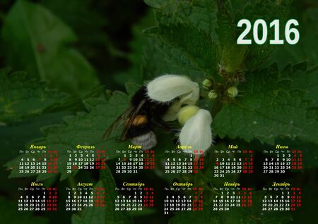 Calendar for 2016の写真素材