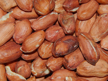 peanut