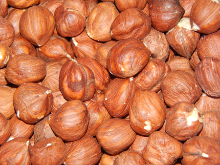 Peeled hazelnutsの写真素材
