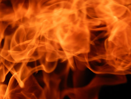 Fire flames on a black background
