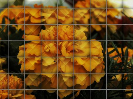 Background color carnation in a tiled mosaicの写真素材