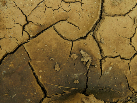 Texture image of dry cracked earth by water shortageの写真素材