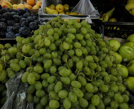 Fresh grapes closeupの写真素材