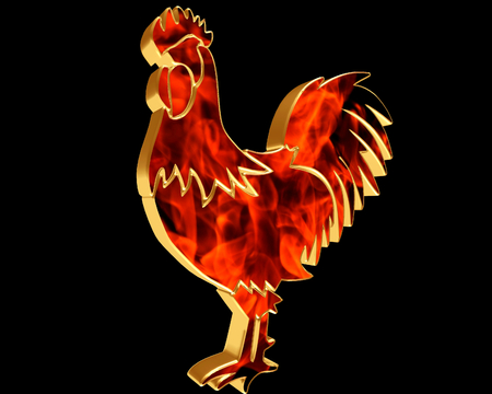 Rooster with flames of fire on a black backgroundの写真素材