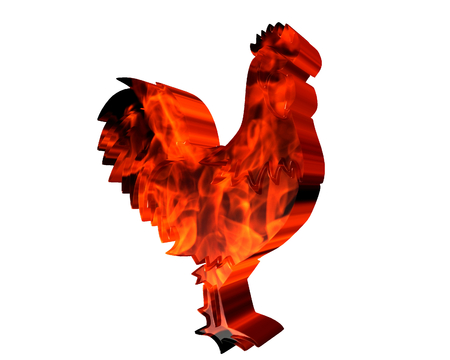 Rooster with flames of fire on a white backgroundの写真素材