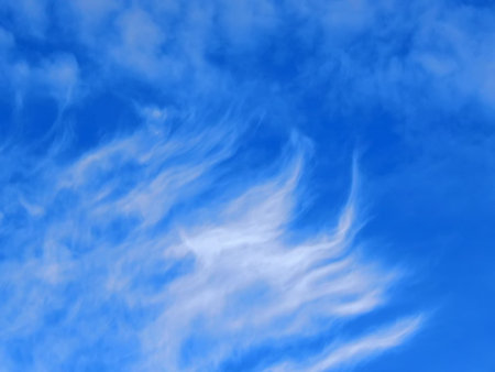 White fluffy clouds in the blue sky