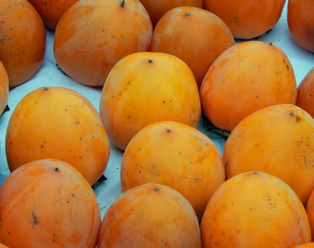 Fruit box with persimmon closeupの写真素材