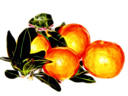 Image of ripe mandarins with leaves in neon lightの写真素材
