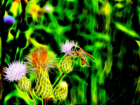 Image of a wild wasp on the flowers of a meadow burdock in neon light