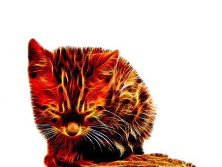 Picture of a cat in neon lightの写真素材