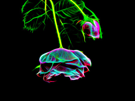 Abstract image of flowers in neon lightの写真素材