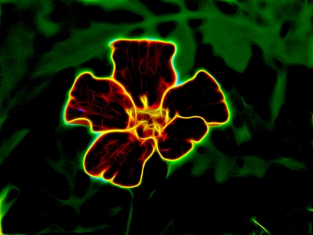 Abstract image of flowers in neon lightの写真素材
