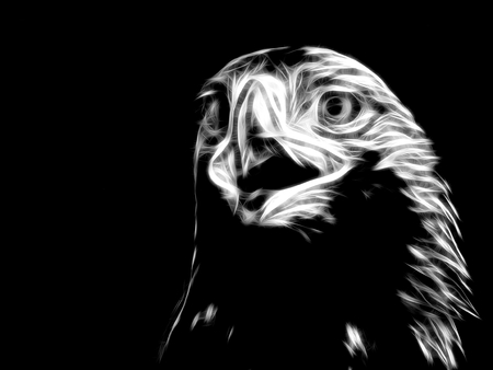 3d illustration. Silhouette of the image of an eagle in neon lightの写真素材