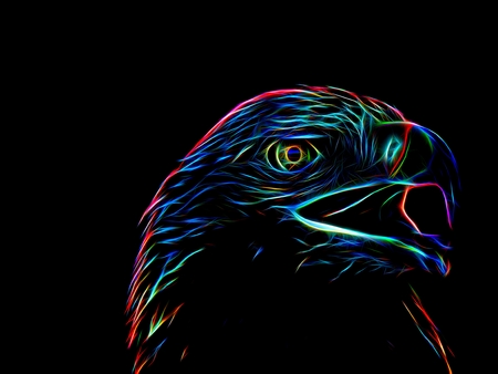 3d illustration. Silhouette of the image of an eagle in neon lightの写真素材
