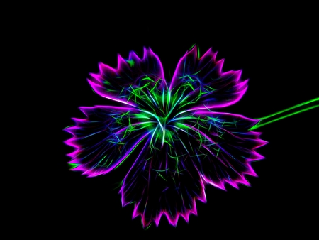 Neon flower image on a black backgroundの写真素材