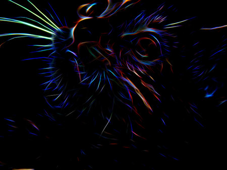 Neon cat on a black backgroundの写真素材