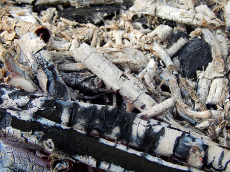Coals of a burning campfire close up