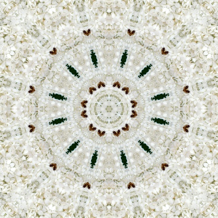 3d illustration of an abstract image of white spring flowersの写真素材