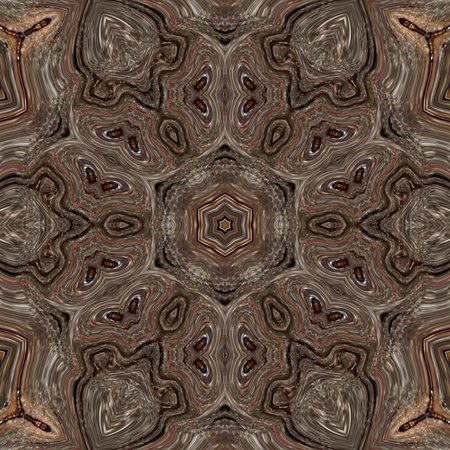 3d illustration. Abstract image of a wooden surface of a bark of a tree