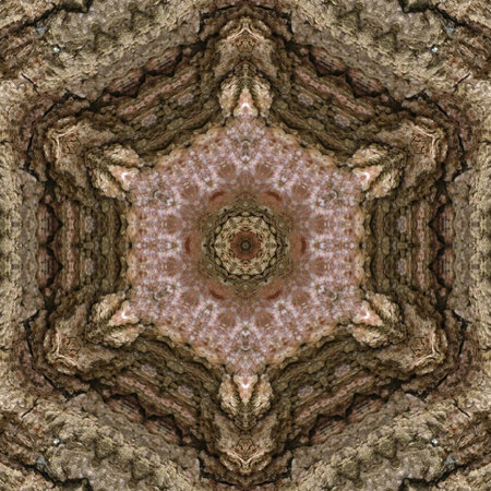 3d illustration. Abstract image of a wooden surface of a bark of a tree