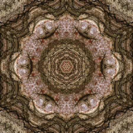 3d illustration. Abstract image of a wooden surface of a bark of a treeの写真素材