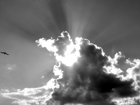 White clouds on a blue sky on a black and white image