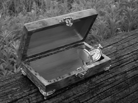 Box of mahogany wawona handmade on a green backgroundの写真素材