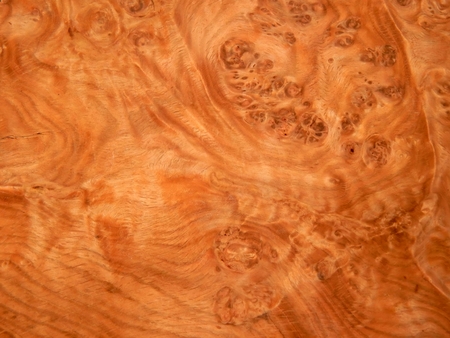 The texture of natural wood is the root of oak. Wood veneer for furniture producの写真素材