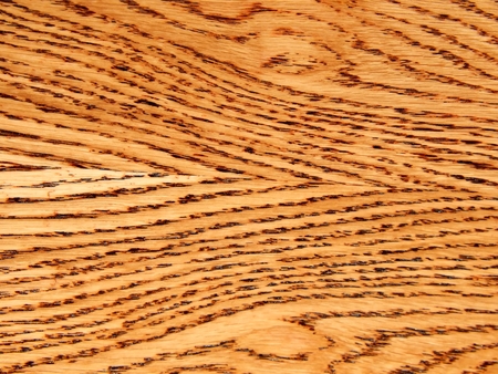 The texture of the oak. Furniture making materialの写真素材