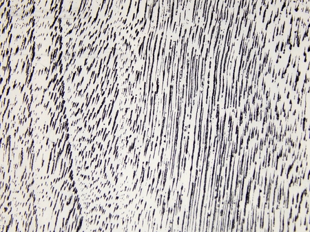 Texture design wood aging handmade. Element for decorating furniture and interiorの写真素材