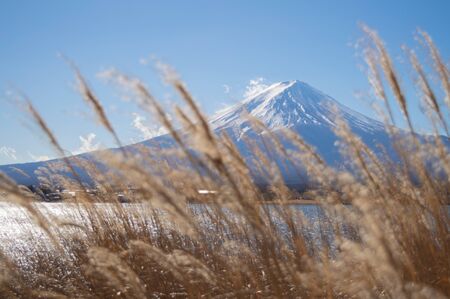 Mount Fuji seen Behind Grassesの写真素材