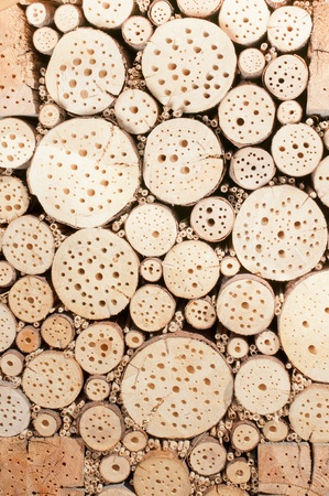 Hotel inceptos woodの写真素材