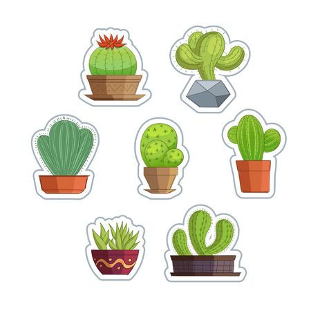 Cute succulent or cactus plant set.のイラスト素材