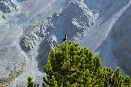 Nature. Green mountainの写真素材